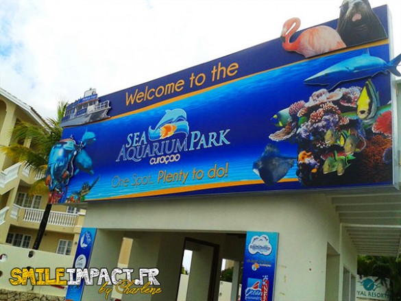 Sea Aquarium Park où on peut nager avec les dauphins- Curacao