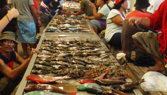 Marché aux poissons de la Capitale Apia